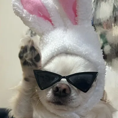 ちゃんちゃんまる のプロフィール画像