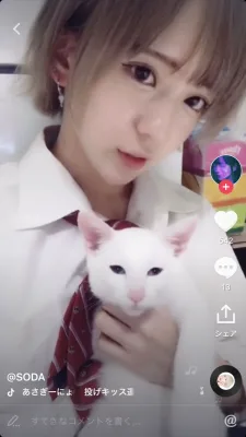 SODA のプロフィール画像