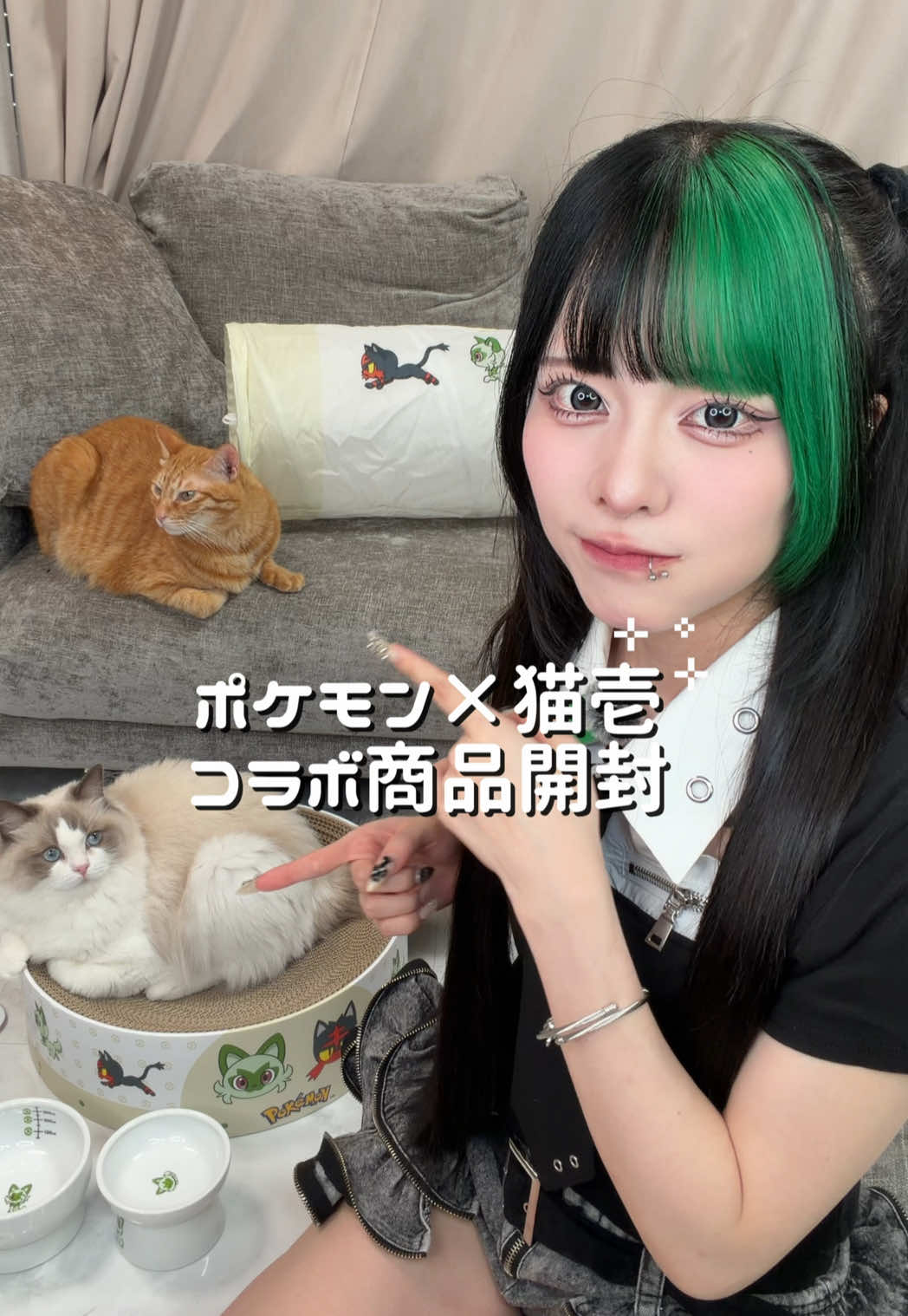 ポケモン×猫壱の神コラボありがとう🙏 #Pokemon #猫壱 #開封動画 #多頭飼い #ポケモン 